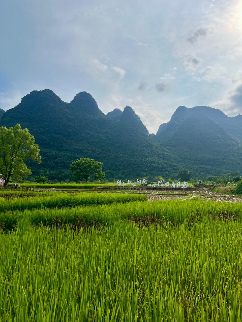 Atmosphere photo of 富里桥（明代石拱桥）