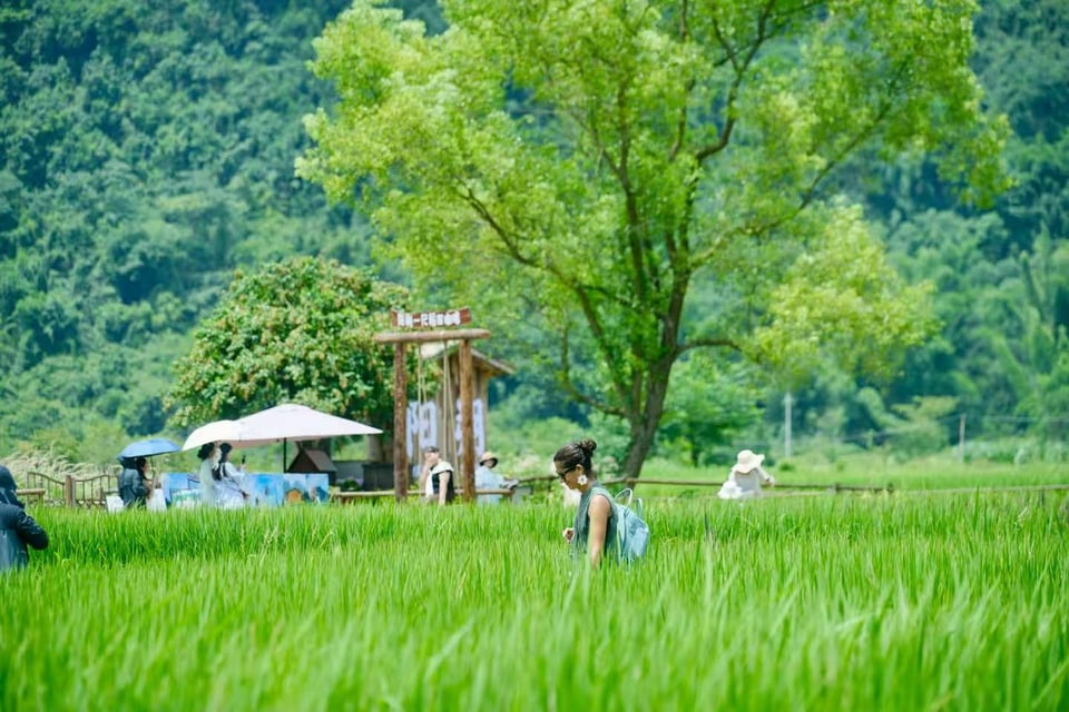 阳朔的氛围照片
