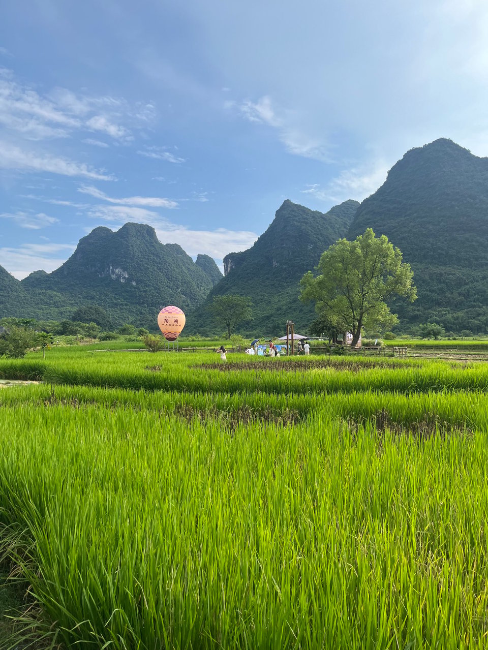 Atmosphere photo of 遇龙河金龙桥-旧县人工竹筏