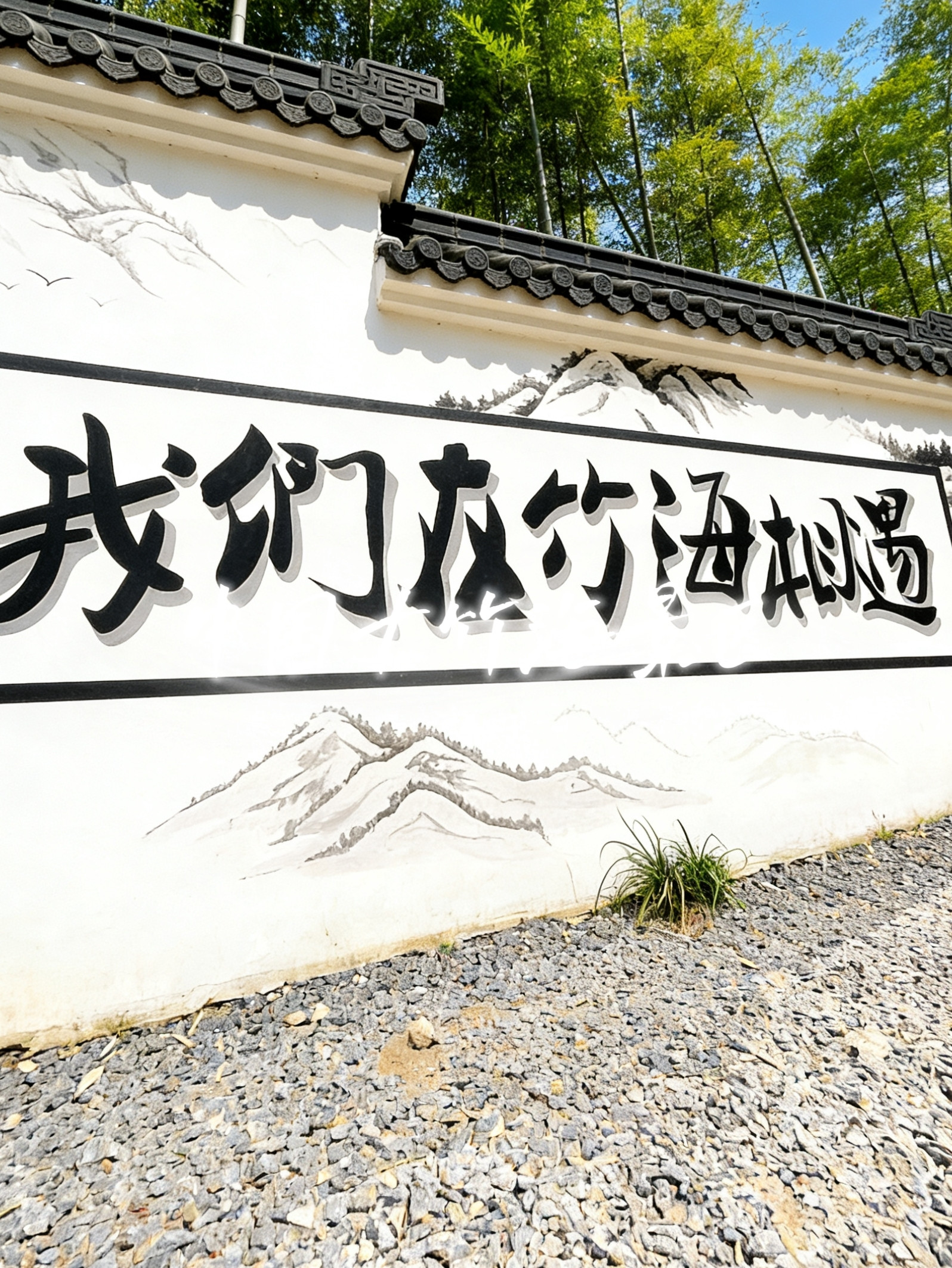 中国大竹海(卧虎藏龙取景地)的氛围照片