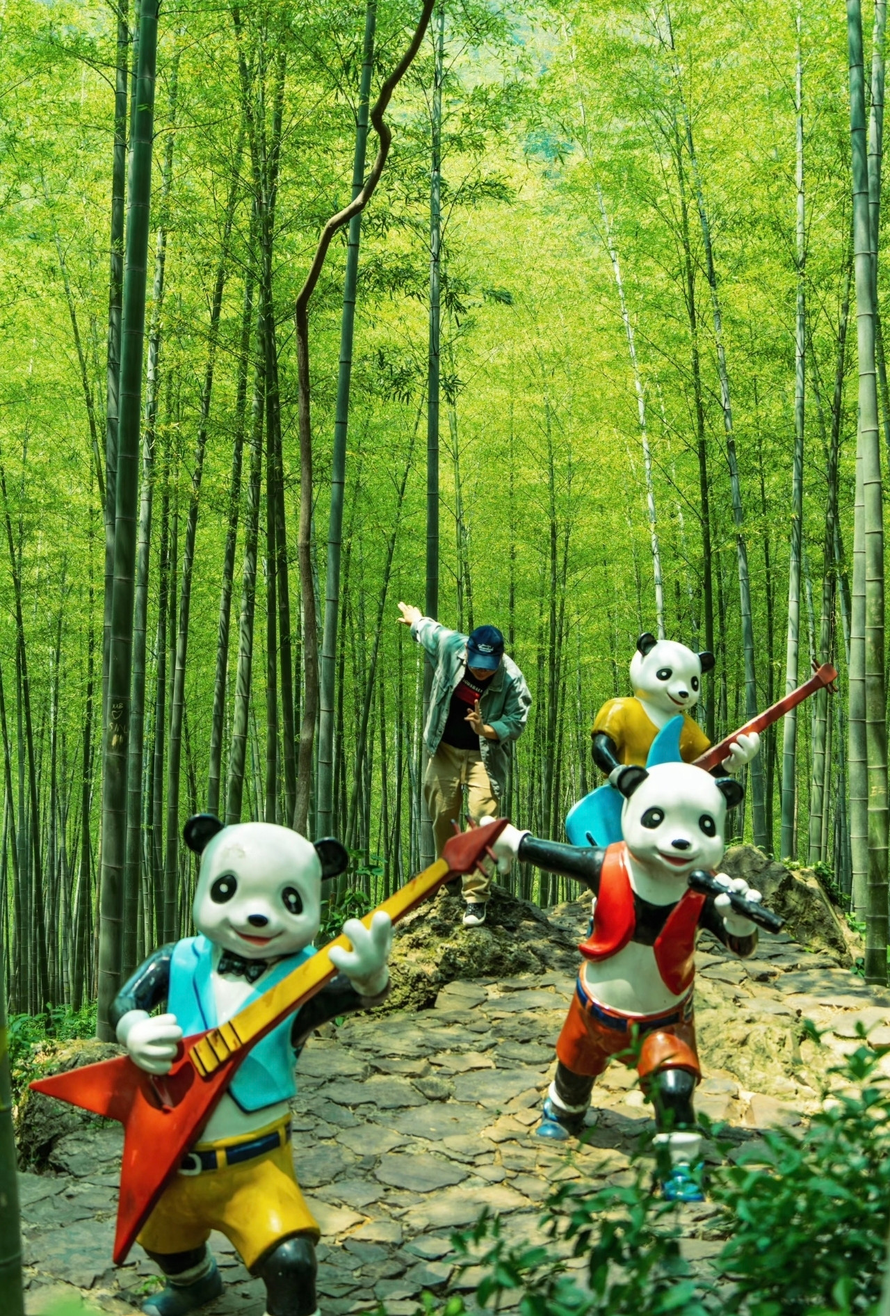 南山竹海(静湖竹筏·地轨)的氛围照片