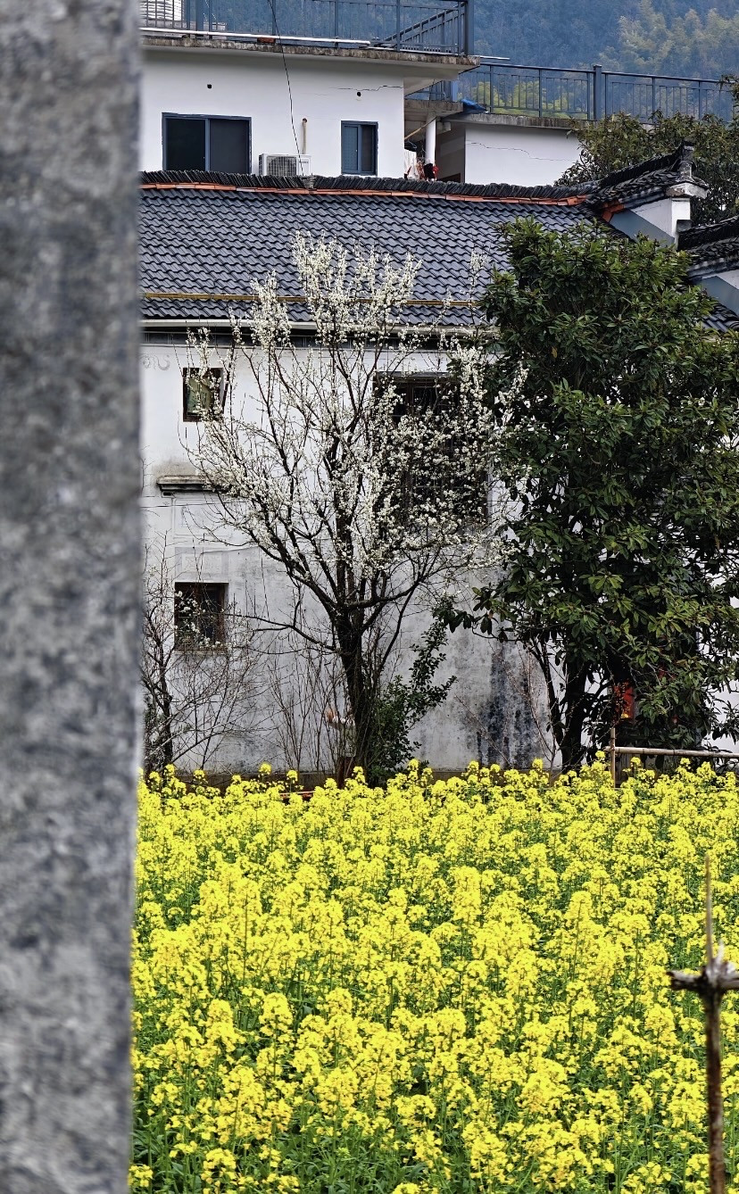 虹关村·察关水口的氛围照片