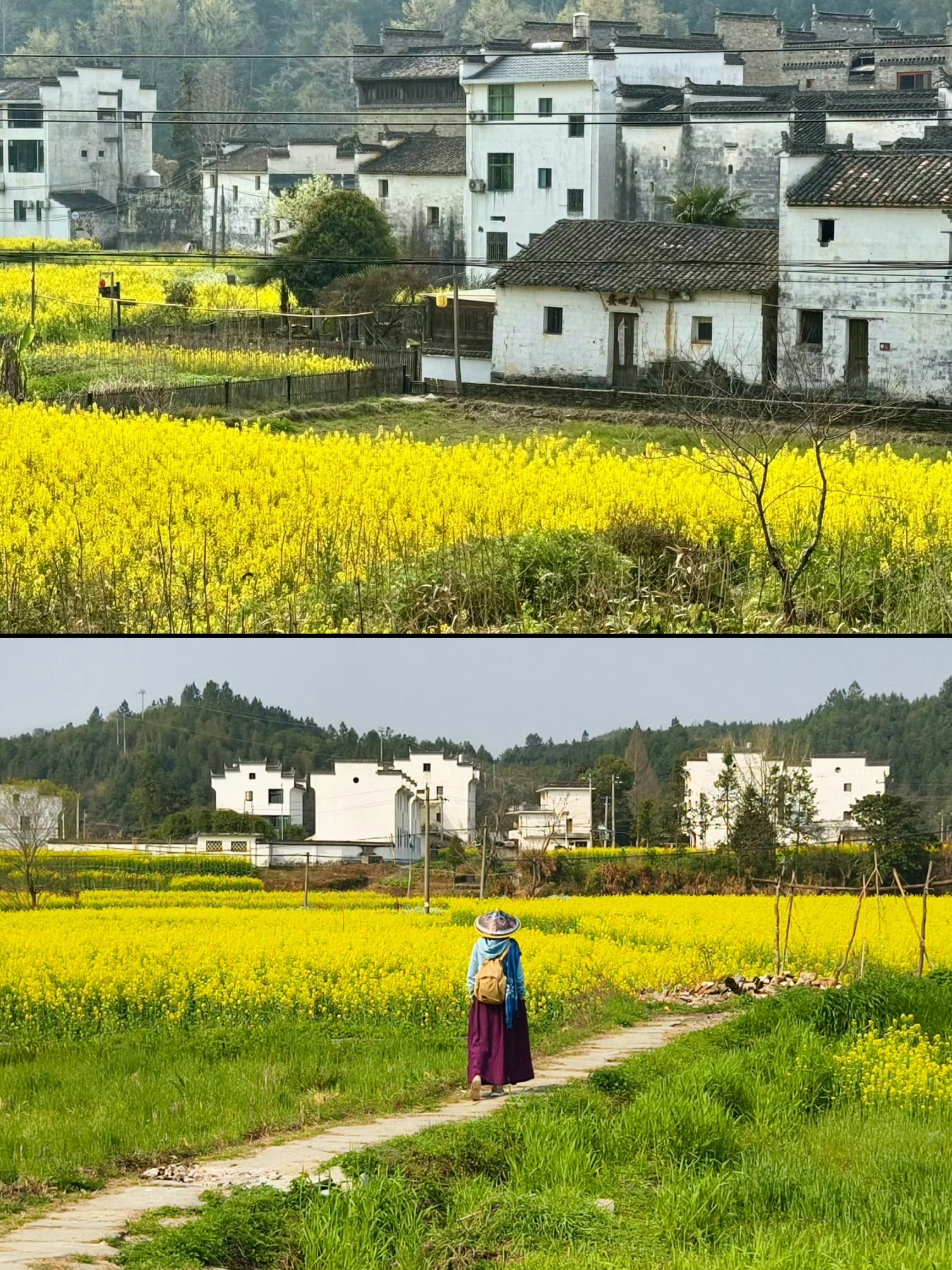 思溪延村的氛围照片